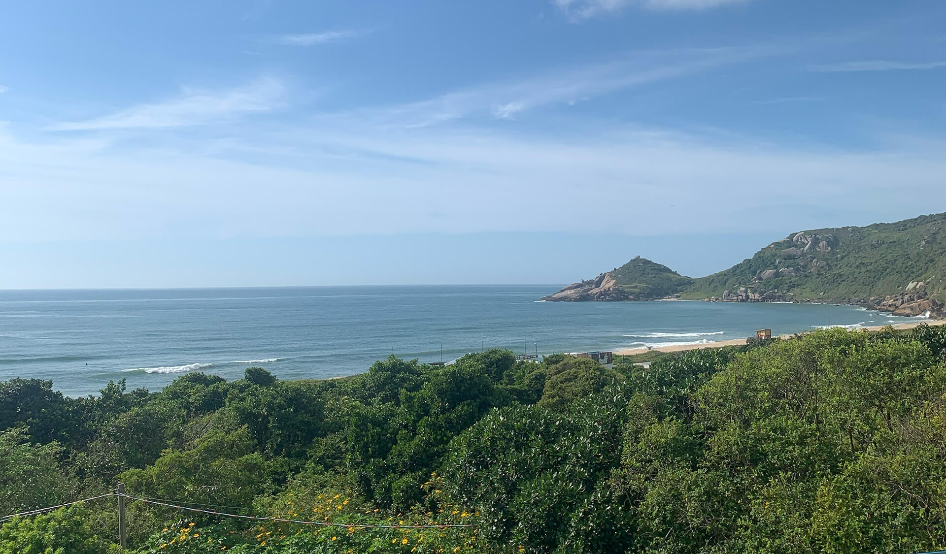 Praia Mole, Florianópolis – Complete Guide to the Beach